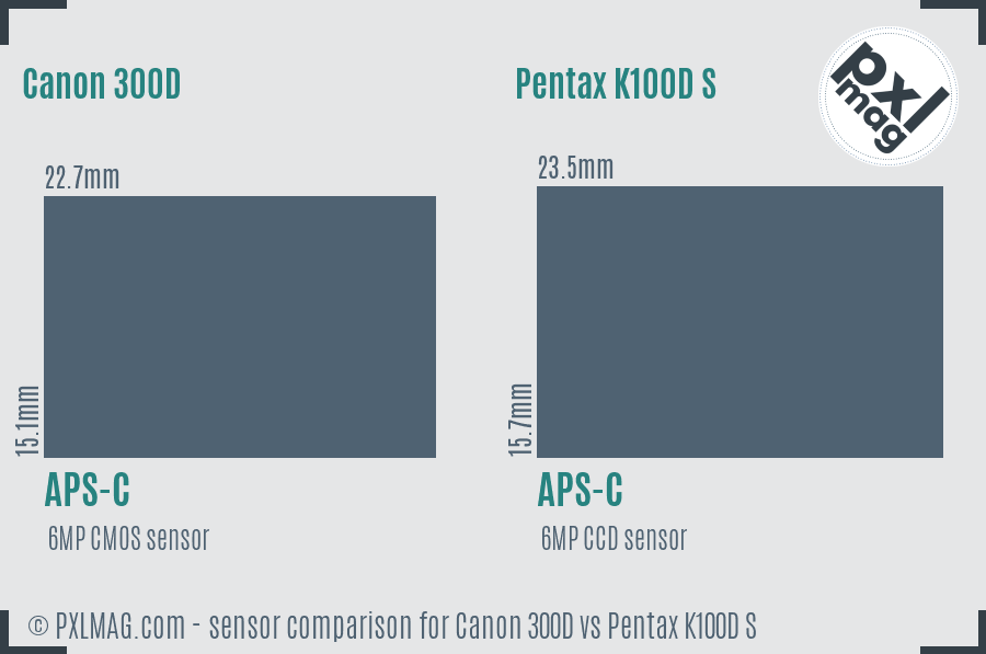 Canon 300D vs Pentax K100D S sensor size comparison