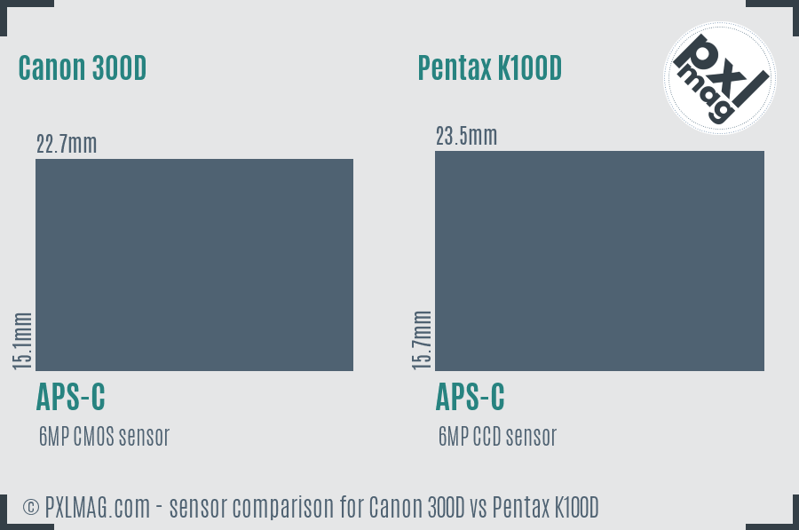 Canon 300D vs Pentax K100D sensor size comparison