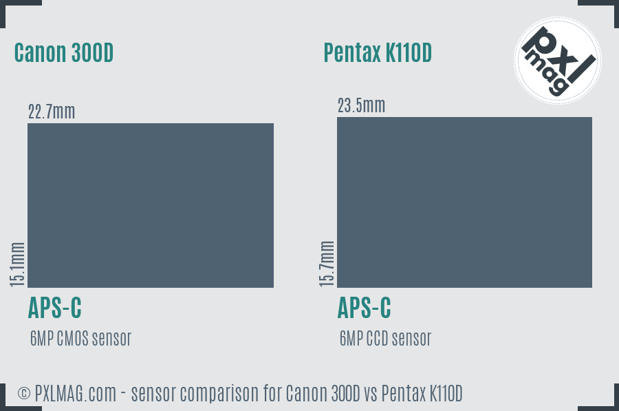 Canon 300D vs Pentax K110D sensor size comparison