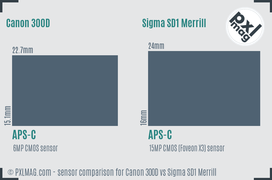 Canon 300D vs Sigma SD1 Merrill sensor size comparison