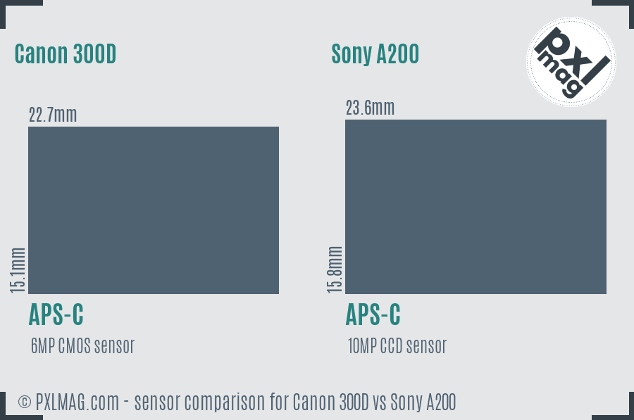 Canon 300D vs Sony A200 sensor size comparison
