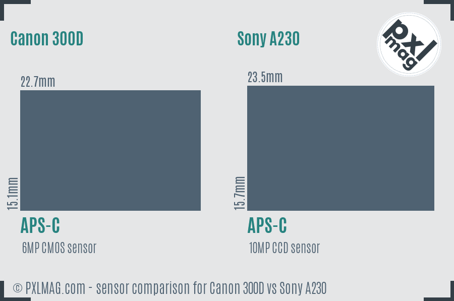 Canon 300D vs Sony A230 sensor size comparison