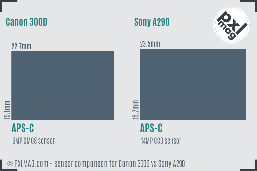 Canon 300D vs Sony A290 sensor size comparison
