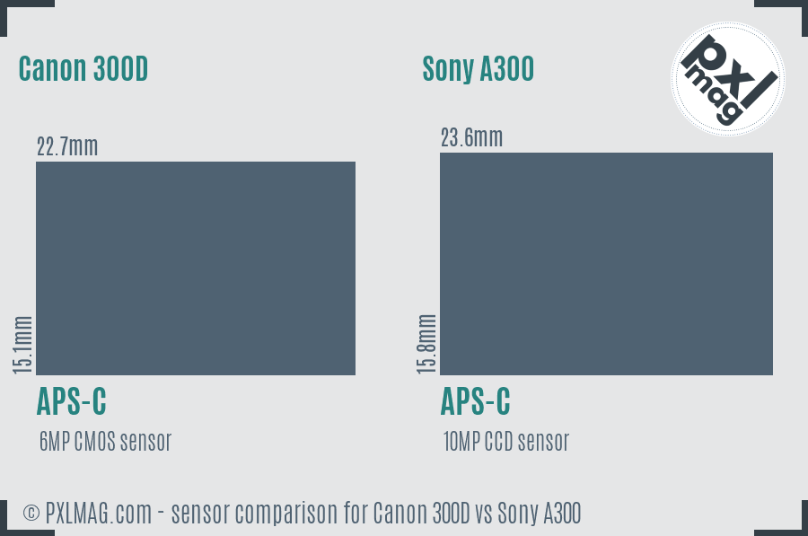 Canon 300D vs Sony A300 sensor size comparison