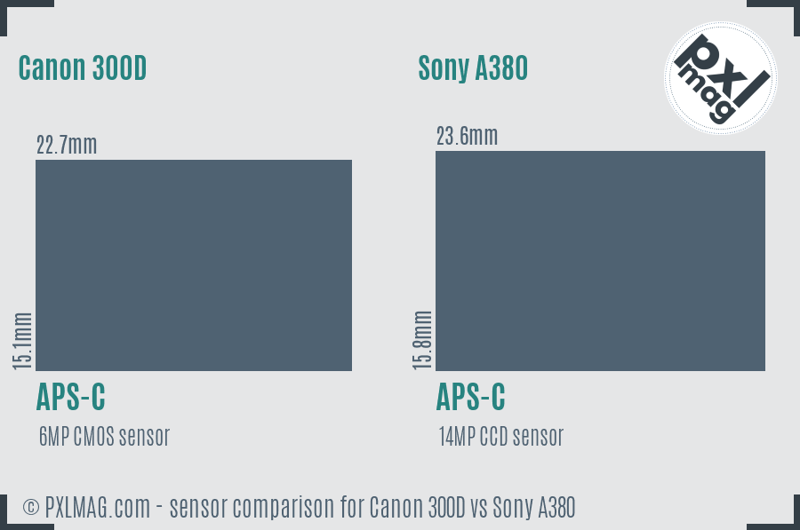 Canon 300D vs Sony A380 sensor size comparison