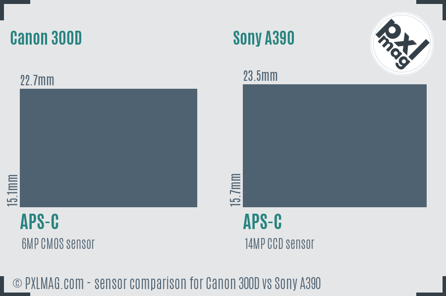 Canon 300D vs Sony A390 sensor size comparison