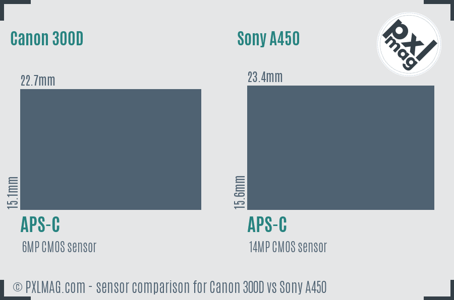 Canon 300D vs Sony A450 sensor size comparison