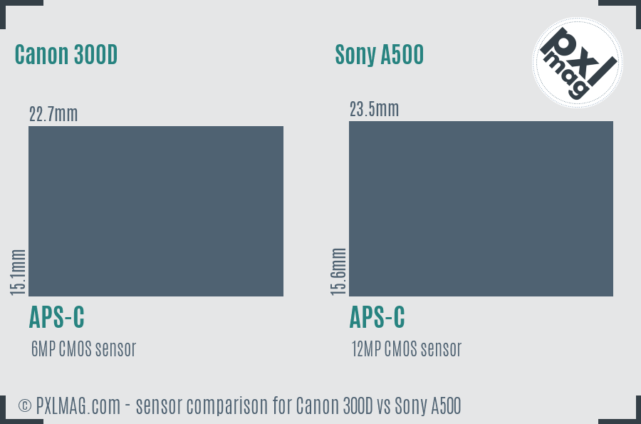 Canon 300D vs Sony A500 sensor size comparison