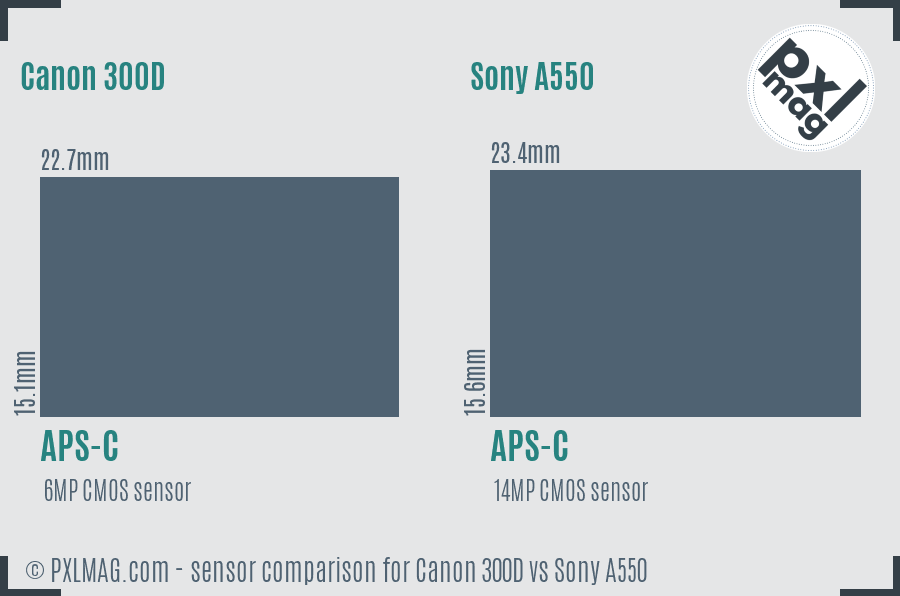 Canon 300D vs Sony A550 sensor size comparison