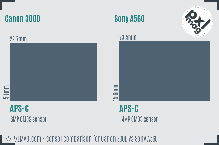 Canon 300D vs Sony A560 sensor size comparison