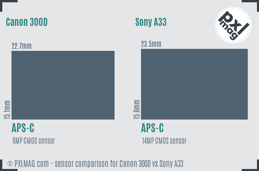 Canon 300D vs Sony A33 sensor size comparison