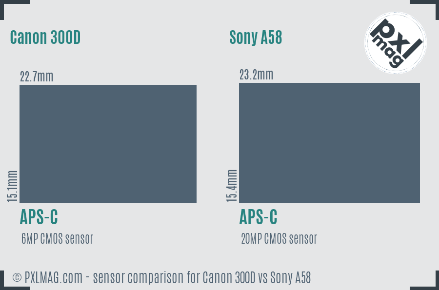 Canon 300D vs Sony A58 sensor size comparison