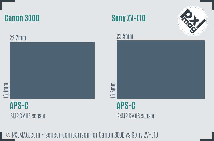 Canon 300D vs Sony ZV-E10 sensor size comparison