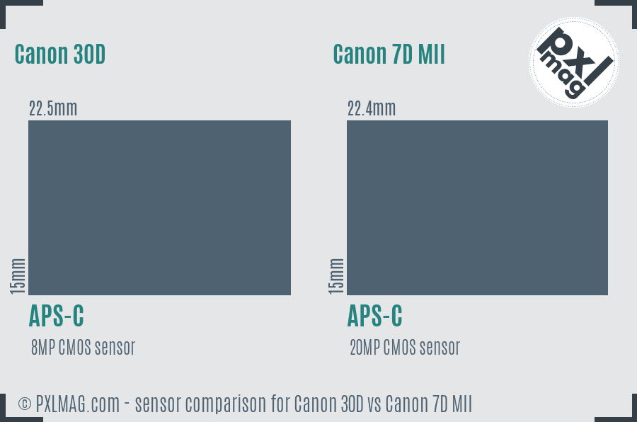 Canon 30D vs Canon 7D MII sensor size comparison