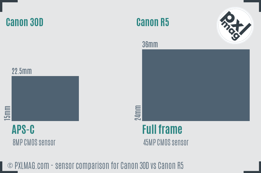 Canon 30D vs Canon R5 sensor size comparison