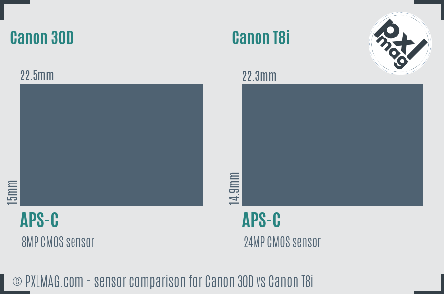 Canon 30D vs Canon T8i sensor size comparison