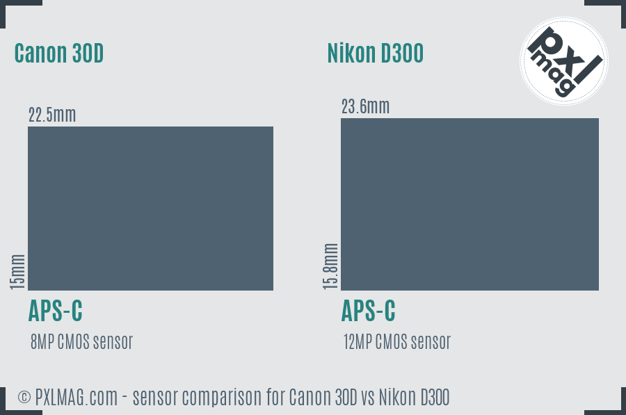 Canon 30D vs Nikon D300 sensor size comparison