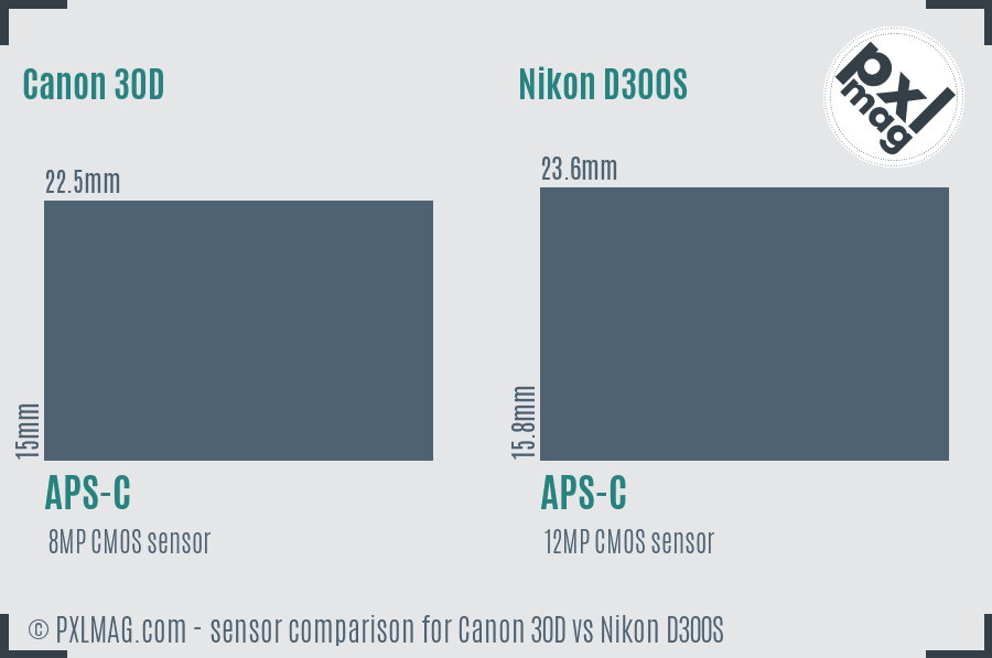 Canon 30D vs Nikon D300S sensor size comparison