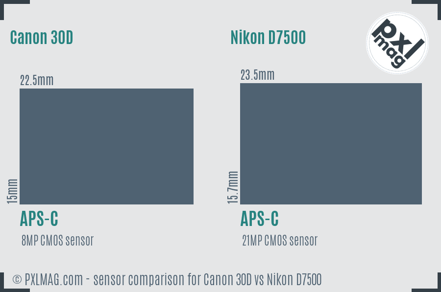 Canon 30D vs Nikon D7500 sensor size comparison