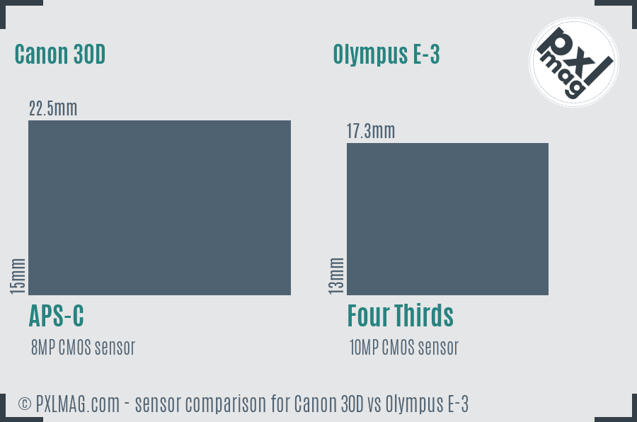 Canon 30D vs Olympus E-3 sensor size comparison