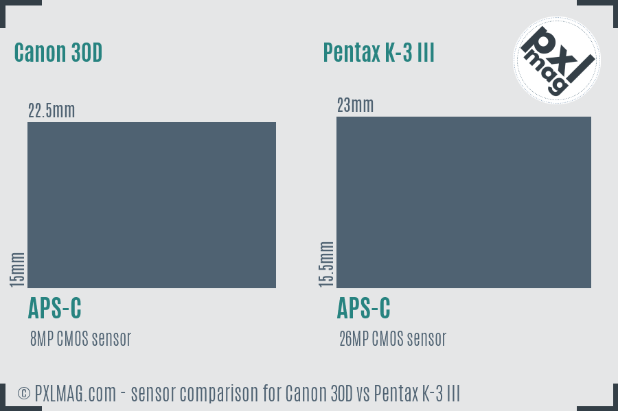Canon 30D vs Pentax K-3 III sensor size comparison