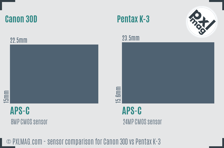 Canon 30D vs Pentax K-3 sensor size comparison