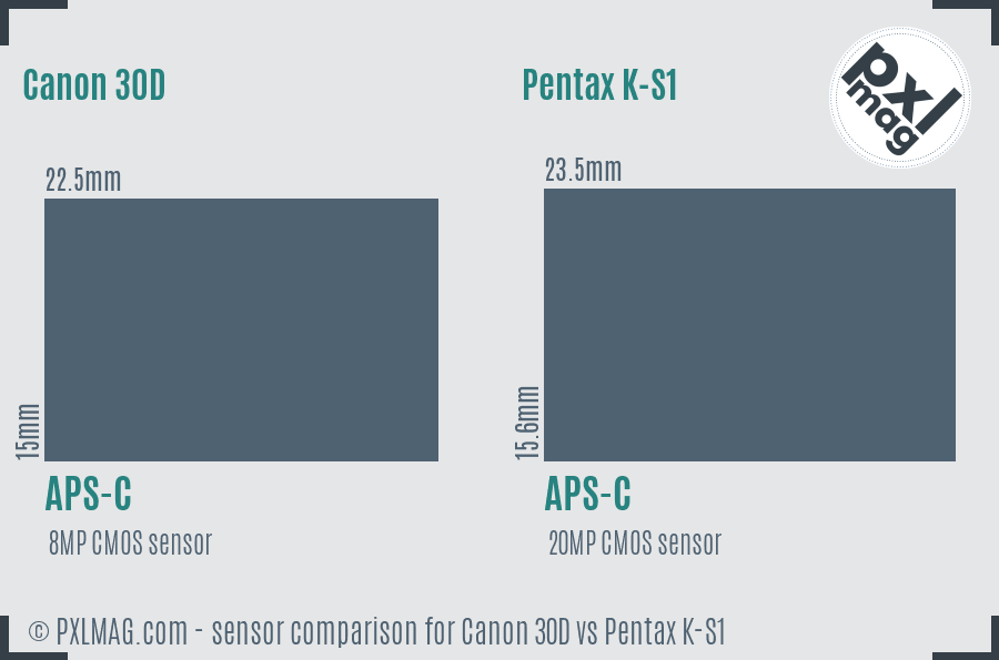 Canon 30D vs Pentax K-S1 sensor size comparison