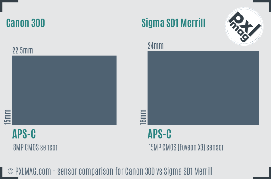 Canon 30D vs Sigma SD1 Merrill sensor size comparison