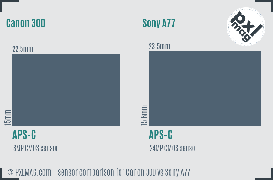 Canon 30D vs Sony A77 sensor size comparison