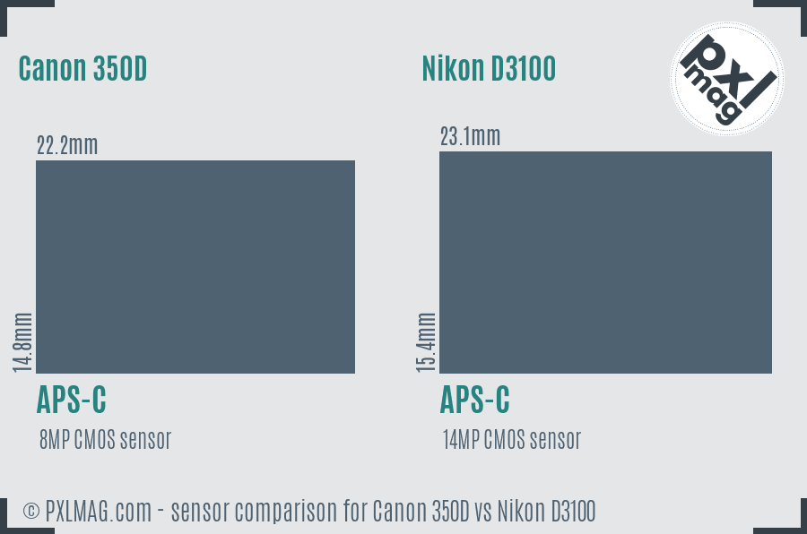 Canon 350D vs Nikon D3100 sensor size comparison