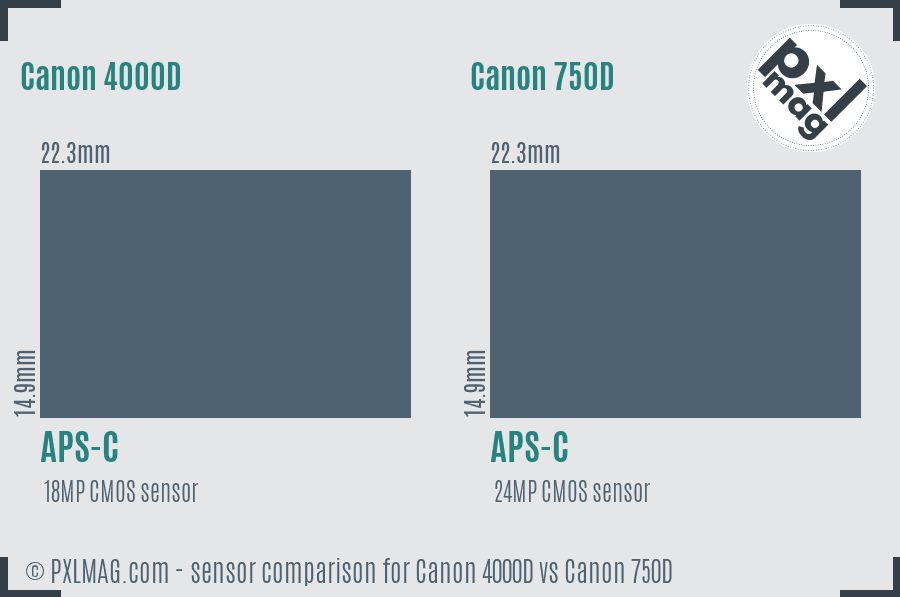 Canon 4000D vs Canon 750D sensor size comparison