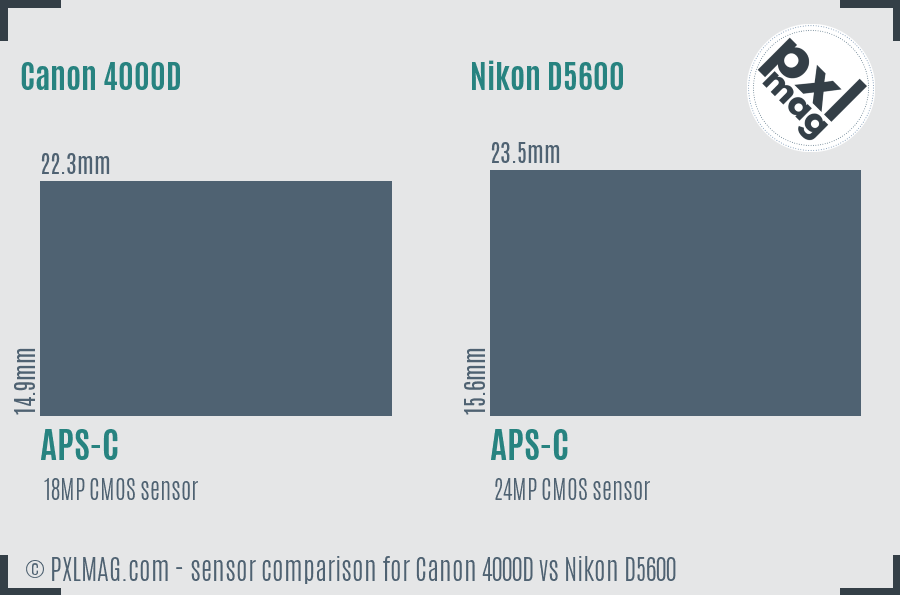 Canon 4000D vs Nikon D5600 sensor size comparison