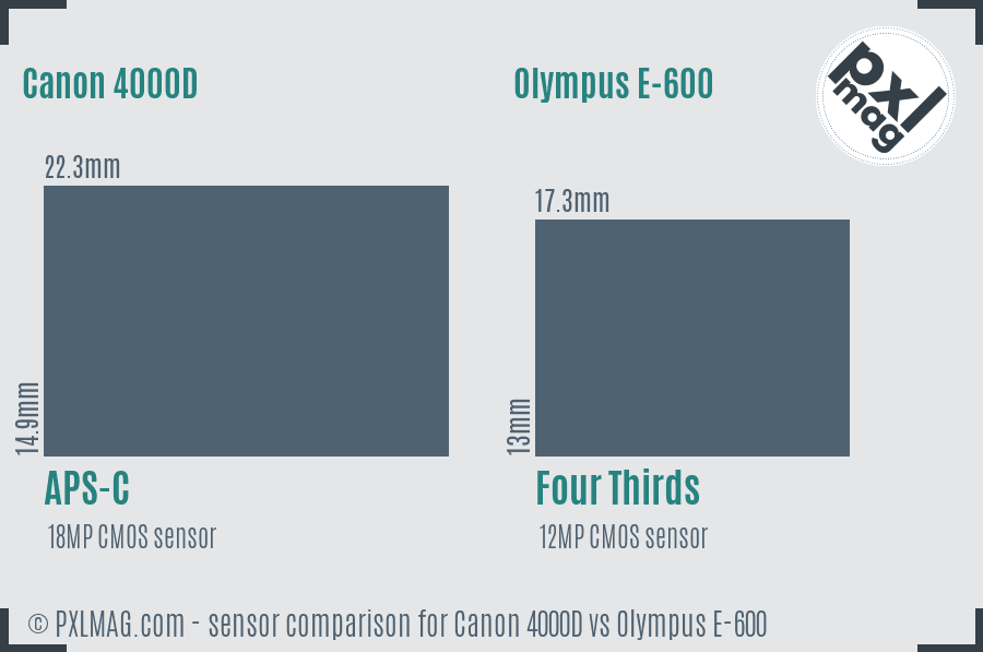 Canon 4000D vs Olympus E-600 sensor size comparison
