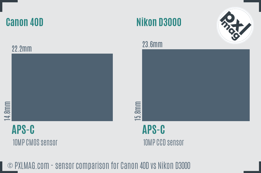 Canon 40D vs Nikon D3000 sensor size comparison Canon 40D vs Nikon D3000 sensor size comparison