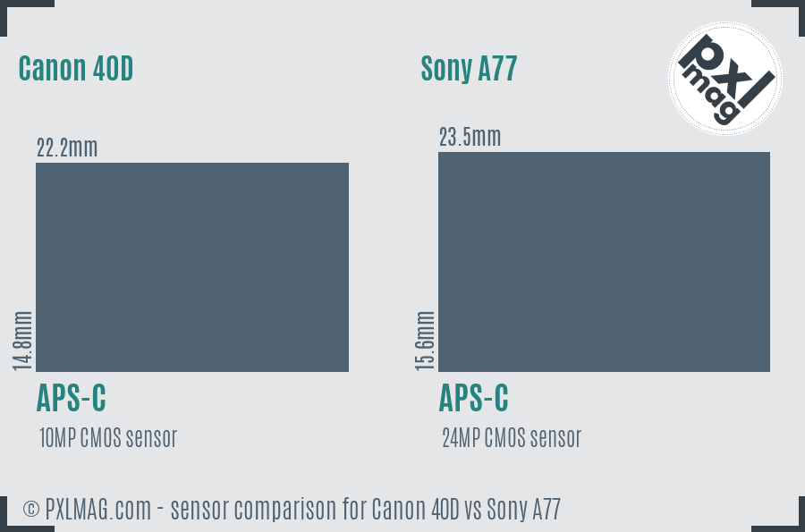 Canon 40D vs Sony A77 sensor size comparison