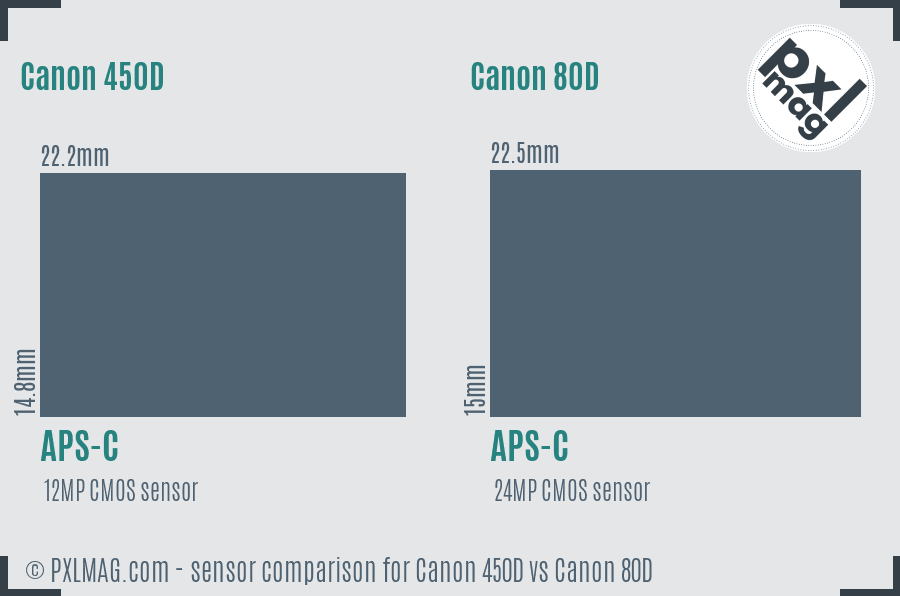 Canon 450D vs Canon 80D sensor size comparison