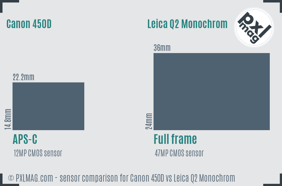 Canon 450D vs Leica Q2 Monochrom sensor size comparison