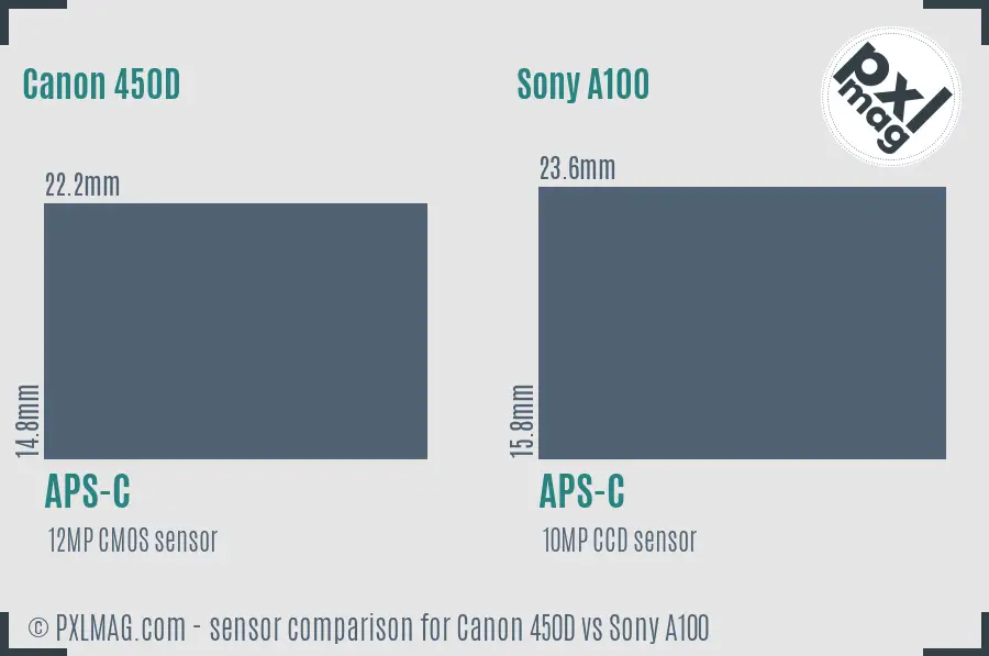 Canon 450D vs Sony A100 sensor size comparison Canon 450D vs Sony A100 sensor size comparison