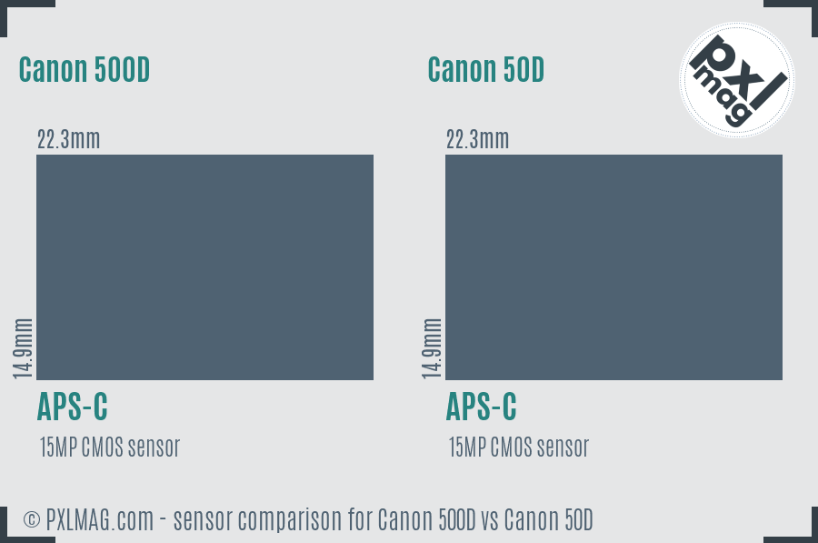 Canon 500D vs Canon 50D sensor size comparison