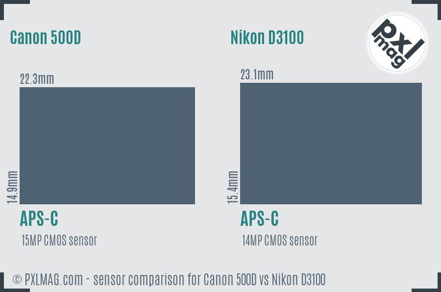 Canon 500D vs Nikon D3100 sensor size comparison