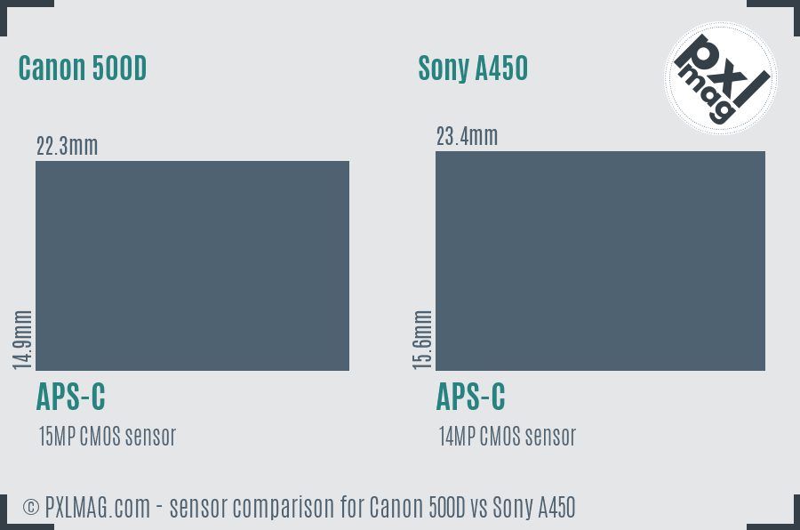Canon 500D vs Sony A450 sensor size comparison