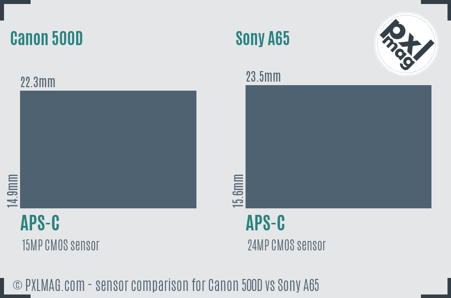 Canon 500D vs Sony A65 sensor size comparison