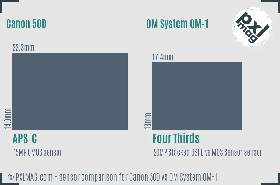 Canon 50D vs OM System OM-1 sensor size comparison