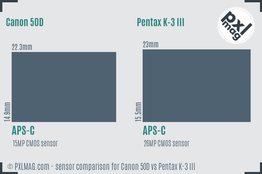 Canon 50D vs Pentax K-3 III sensor size comparison
