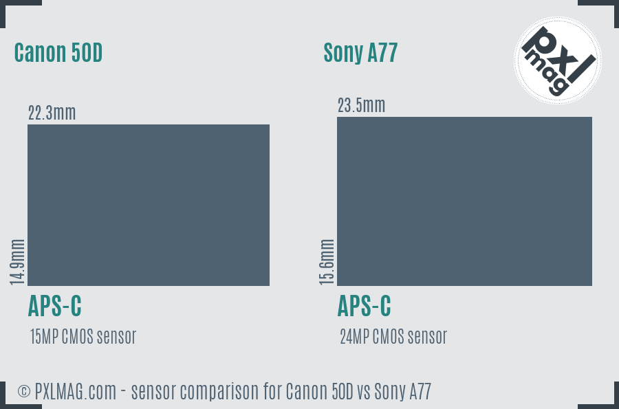 Canon 50D vs Sony A77 sensor size comparison