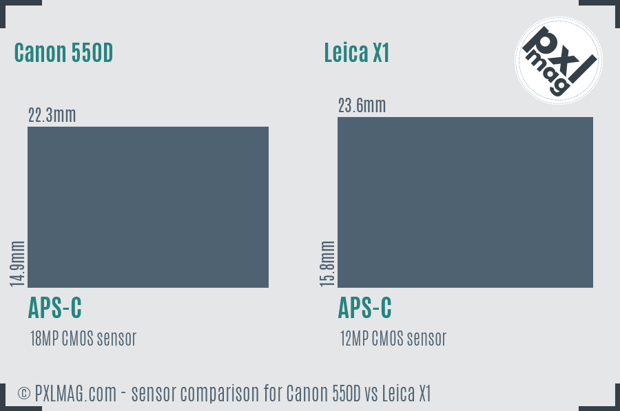 Canon 550D vs Leica X1 sensor size comparison