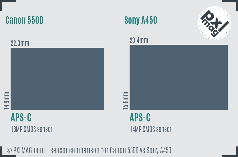 Canon 550D vs Sony A450 sensor size comparison