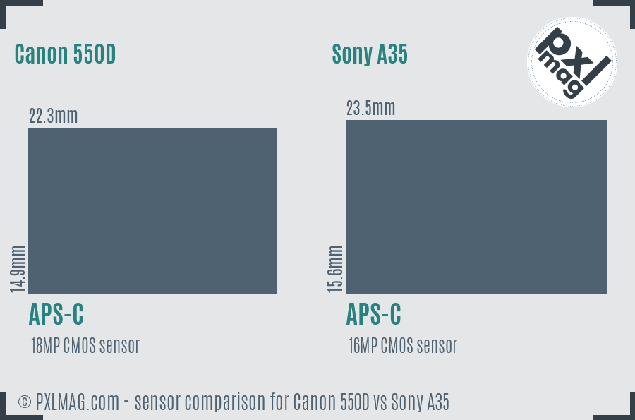 Canon 550D vs Sony A35 sensor size comparison