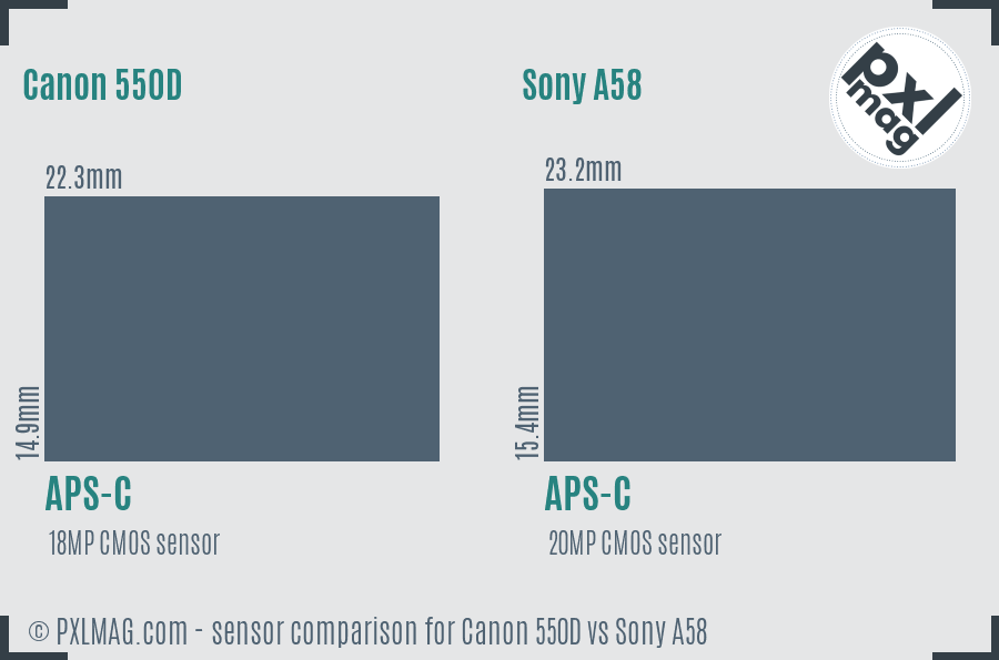 Canon 550D vs Sony A58 sensor size comparison