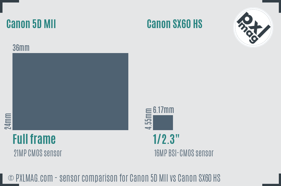 Canon 5D MII vs Canon SX60 HS sensor size comparison